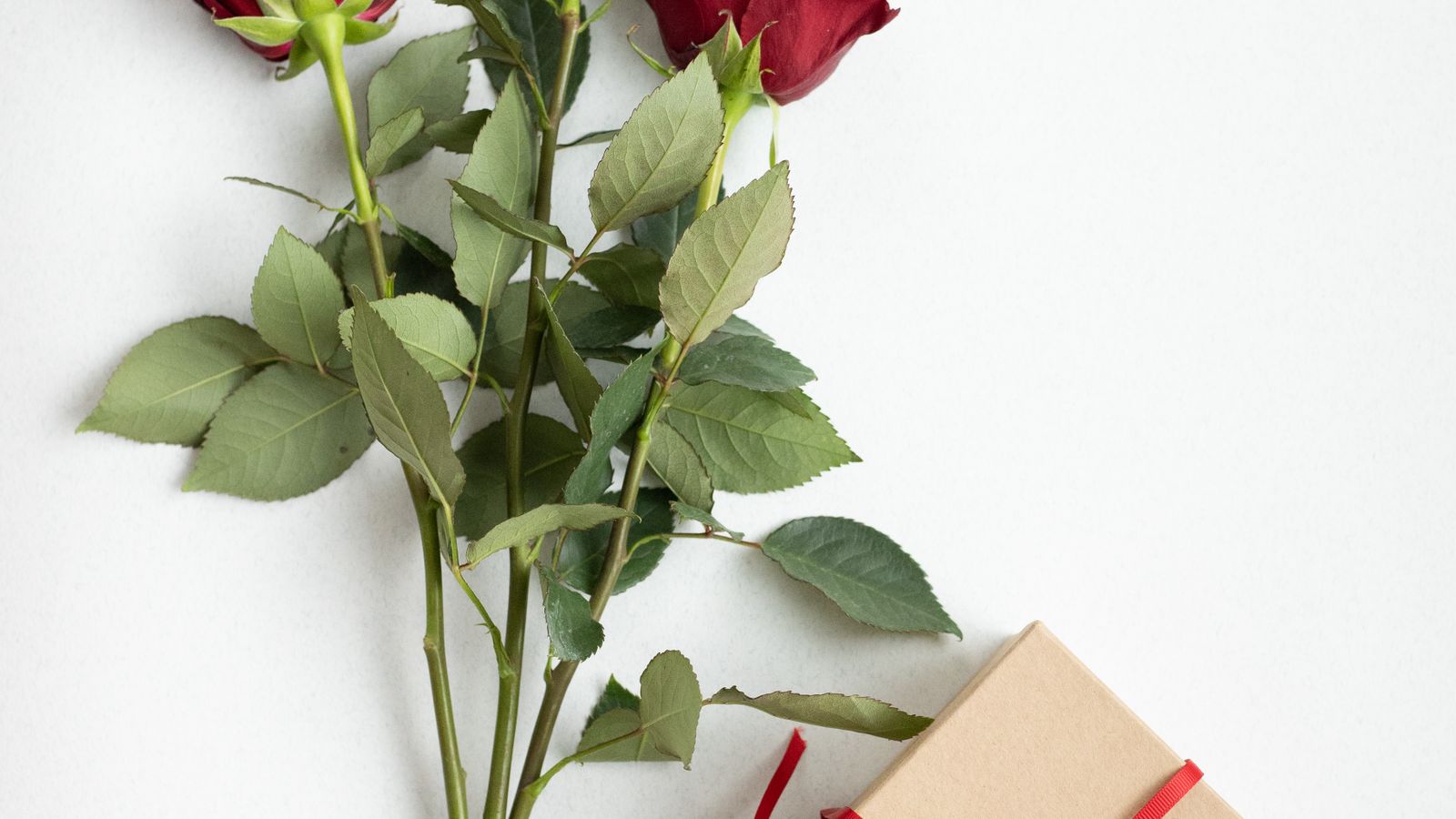 Red roses and gift box arranged together — birthday gifts for granddaughters UK