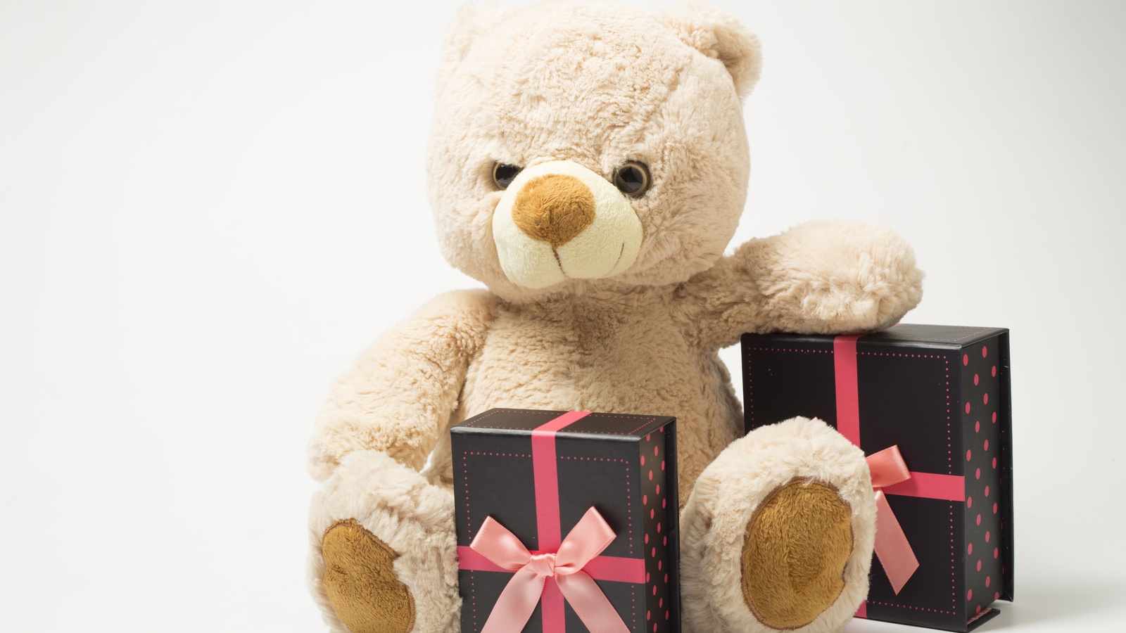 A cream teddy bear holding two gift boxes with pink ribbon &mdash; gifts for siblings when a new baby arrives UK